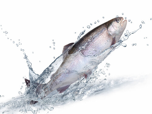 Heimlieferung für Privathaushalte