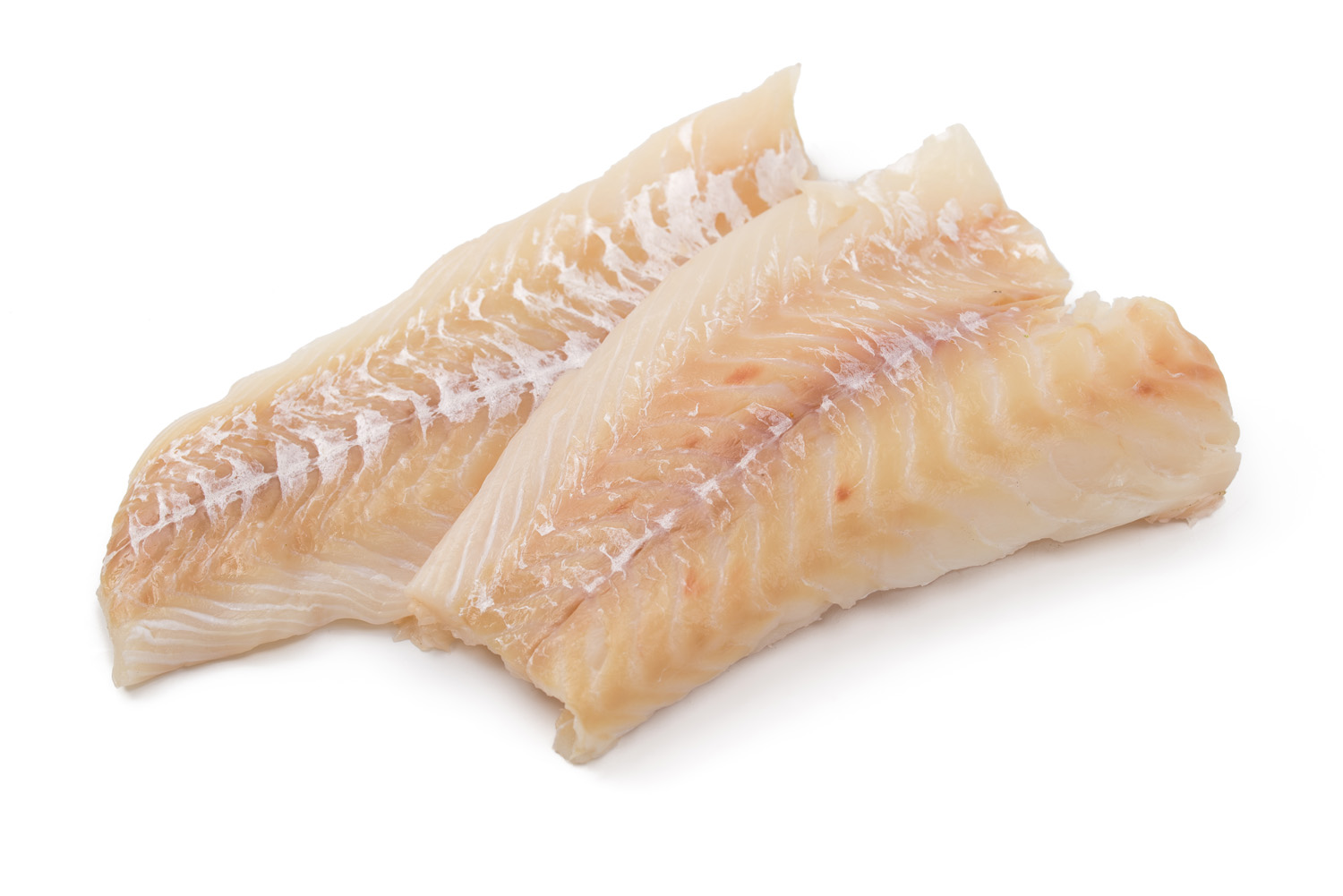 AG Fischprodukte für Gastrobetriebe